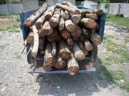 کشف2 تن چوب آلات جنگلی قاچاق در ساری
