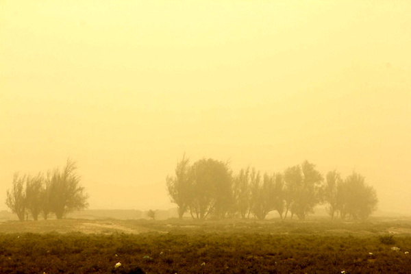 تداوم وزش بادهای120 روزه سیستان تا آخر هفته  افزایش‌دمای 2 تا 4 درجه‌ای در شمال استان