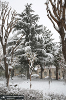 بارش برف در تهران