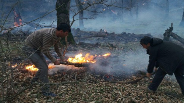آتش سوزی در جنگل های گالیکش
