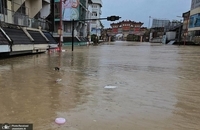 سیل در تایلند ده‌ها کشته بر جای گذاشت (6)