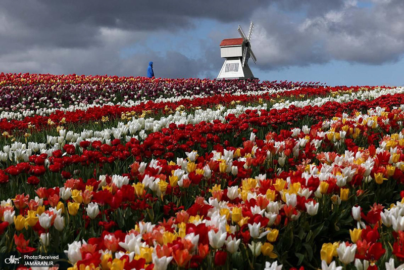 منتخب تصاویر امروز جهان - 31 فروردین 1404