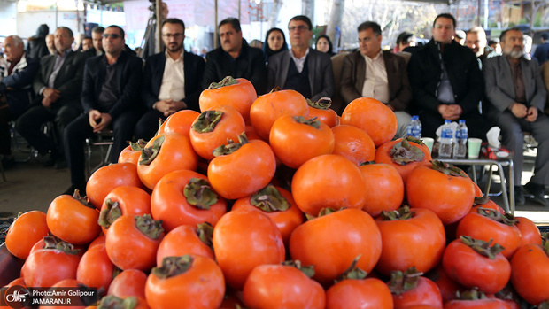آشنایی با خواص بی نظیر این میوه پاییزی 
