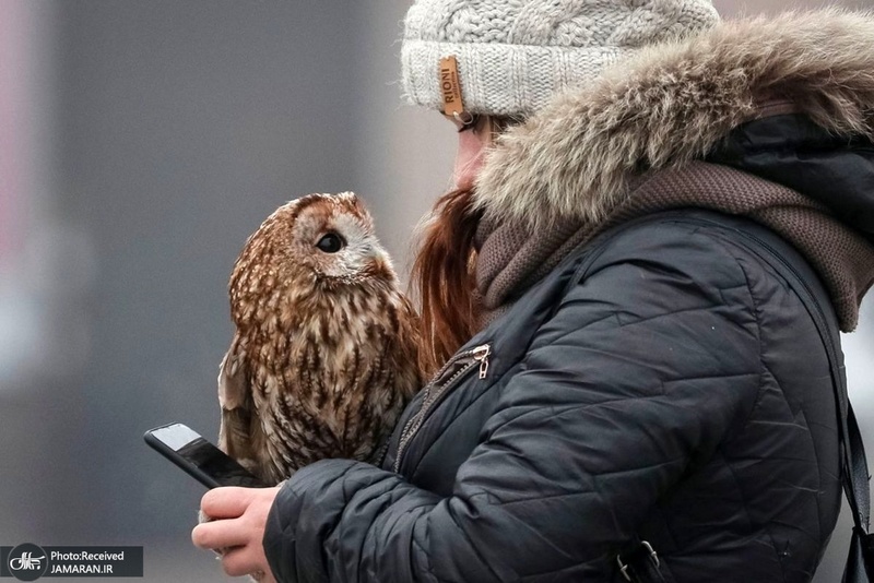 منتخب تصاویر امروز جهان- 9 بهمن