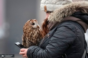 منتخب تصاویر امروز جهان- 9 بهمن