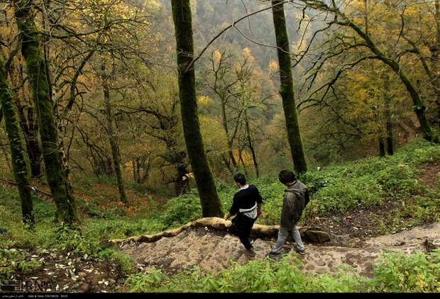 طبیعت‌درمانی با پاییز در غرب گیلان