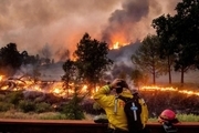 جهان وارد عصر جدیدی از گرمایش و افزایش آتش‌سوزی‌های جنگلی شده‌ است