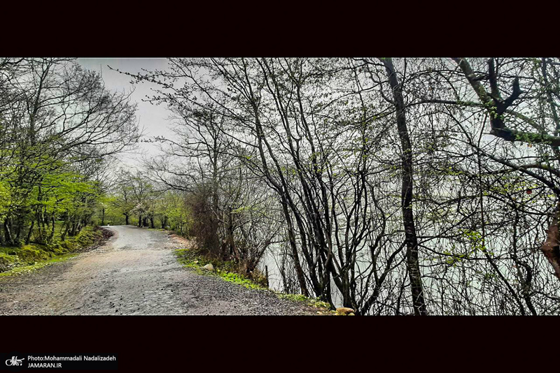 دریاچه آویدر نوشهر