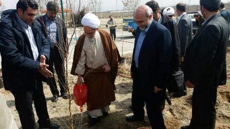 درختکاری سرمایه ای در راستای مهار آلایندگی هوا و  حفظ و احیاء داشته های طبیعی است