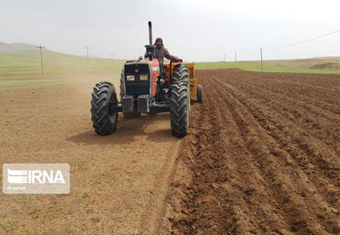 ۲۵۹ طرح اشتغالزایی در پاوه تصویب شد