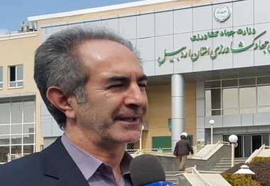 700 نفر در بخش کشاورزی اردبیل اشتغال یافتند