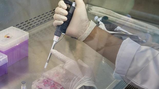 نتایج امیدوار کننده یک واکسن ضد کرونا در آمریکا 