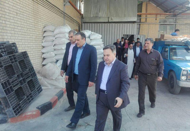 900 میلیارد ریال برای اشتغال روستایی مرکزی مصوب شد