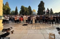 نماز عید قربان در مسجدالاقصی (1)