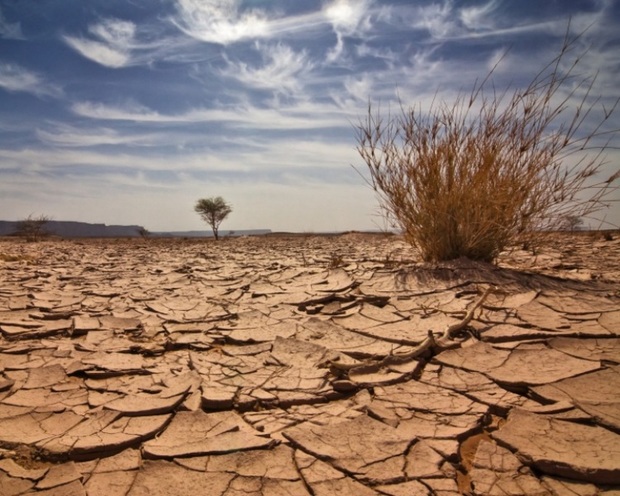 برنامه های مقابله با خشکسالی در همدان تدوین شد