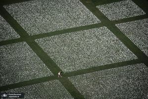 منتخب تصاویر امروز جهان- 29 شهریور 1400