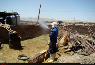 آغاز عملیات سم پاشی در روستاهای آبیک