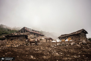 منتخب تصاویر امروز جهان- 12 مرداد