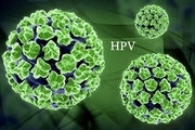 باورهای غلط در ارتباط با ویروس HPV
