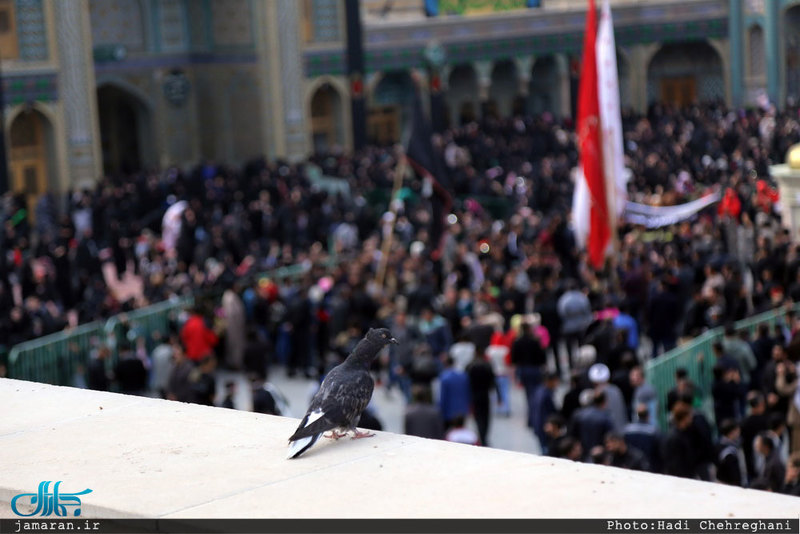 دسته عزاداری خادمان حرم حضرت معصومه ( س) در روز شهادت امام رضا (ع)