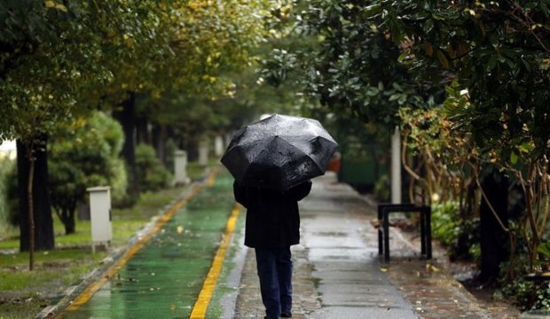 بارش باران و وزش باد برای استان تهران پیش بینی می شود