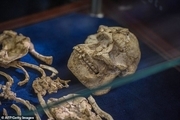 بقایای اسکلتی عجیب که در آفریقا کشف شد+ تصاویر