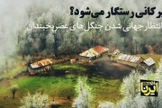 در انتظار جهانی شدن جنگل‌های ایرانی عصر یخبندان