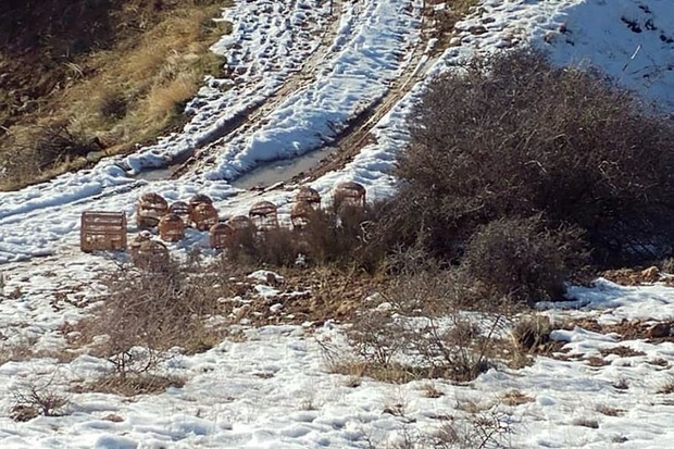 2 شکارچی متخلف در دیواندره دستگیر شدند