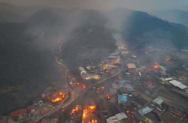 دود آتش‌سوزی‌های جنگلی برای چه افرادی خطرناک است؟