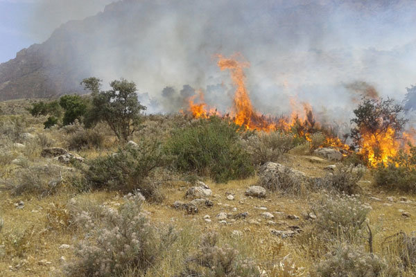 آتش سوزی در 12 هکتار از اراضی حفاظت شده آذربایجان غربی