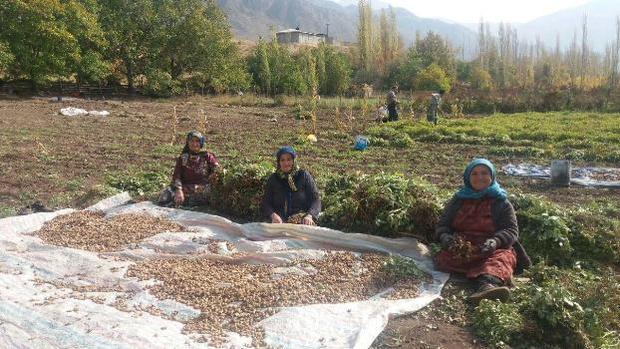 صندوق های اعتبارات خرد زنان روستایی در نمین توسعه می یابد