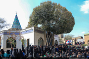 گزارش تصویری/ مراسم عزاداری عاشورای حسینی در آستان امامزاده یحیی(ع)