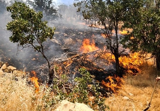 مهار آتش سوزی در مناطق منگره و بیدرویه اندیمشک و روستای ابوالعباس از توابع شهرستان باغملک