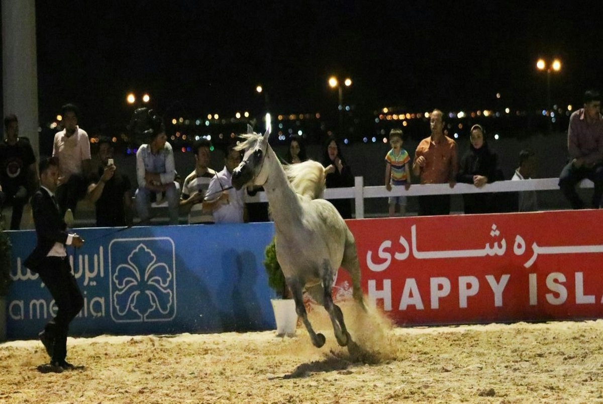 توبیخ برگزارکنندگان جشنواره اسب در آمل 