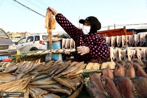 منتخب تصاویر امروز جهان - 15 آذر 1401