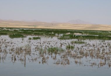 تالاب «قره‌گُل» بوکان احیا شد