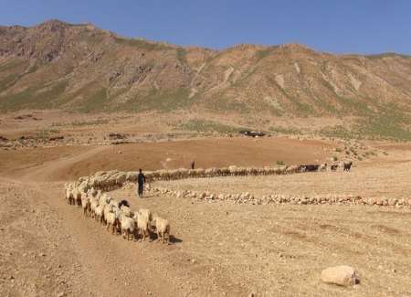 ایل راه های عشایری چهارمحال و بختیاری احیاء وآماده برای کوچ بهاره شد