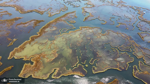 منتخب تصاویر امروز جهان - 11 مرداد 1401