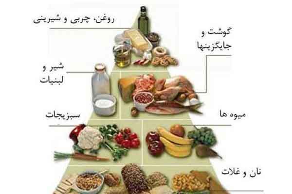 انسان های اولیه چه می خوردند؟