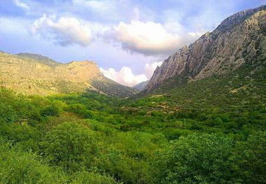 چرای بی رویه تهدیدی جدی برای مراتع آذربایجان غربی است