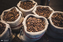 کافئین برای بدن مفید است یا ضرر دارد
