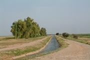 پایان بهمن ، آخرین مهلت عقد قرارداد آب کشاورزی در شمال خوزستان است