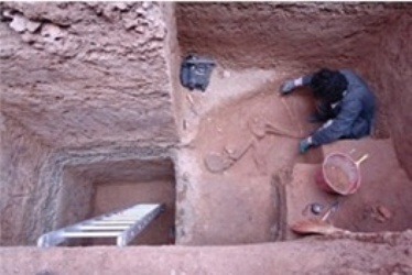 مسجد جامعی، کریستف کلمب تهران را معرفی کرد