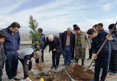 5000 اصله نهال طی هفته منابع طبیعی در خوی غرس شد