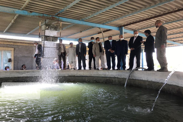 وزیر جهاد کشاورزی از مرکز حفاظت از ماهیان گرم آبی زهک دیدن کرد