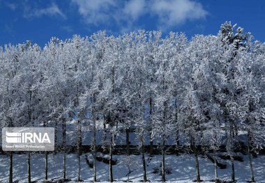 کارشناس هواشناسی: تمرکز بارش برف در نواحی مرکزی و شرقی گیلان است