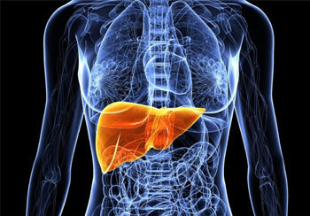 نوشیدن آب یخ دلیل اصلی کبد چرب