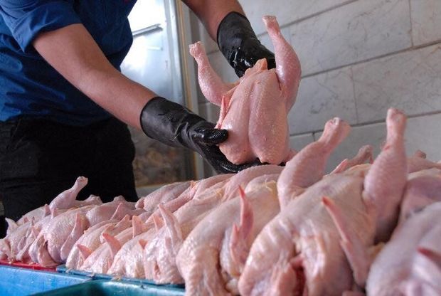 طرح بهبود کیفیت بهداشتی گوشت مرغ در استان مرکزی کلید خورد