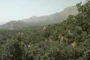 اراضی ملی شمیرانات زیر ذره بین نیروهای حفاظتی است