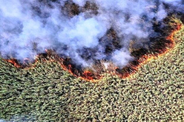 خشکسالی به جان هورالعظیم افتاده/ دود بی‌آبی تالاب هورالعظیم به چشمان و ریه مردم غرب خوزستان می‌رود/ سلامت مردم مناطق غرب استان، به‌ویژه شهرستان‌های هویزه و دشت‌آزادگان، به خطر افتاده است 